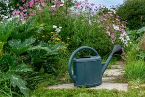 Watering can in a lush and ecological garden photo