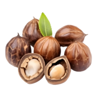 AI generated Walnuts on Transparent background - Ai Generated png