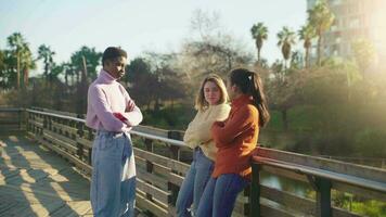 Three female friends talking near the lake in the park during a sunny day. video