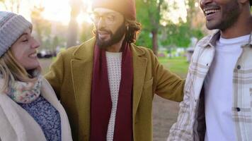 groupe de content copains bavardage dans une parc dans l'hiver. video