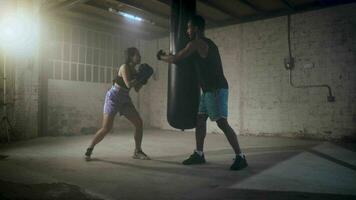 in forma e forte multiculturale coppia praticante boxe insieme nel il palestra, Salute e unità concetto video