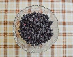 Plate with berries black blackberries photo