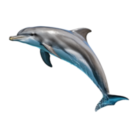 AI generated Dolphin isolated on transparent background png