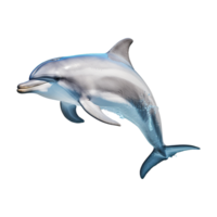 AI generated Dolphin isolated on transparent background png