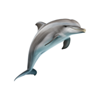 ai generiert Delfin isoliert auf transparent Hintergrund png