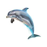 ai generiert Delfin isoliert auf transparent Hintergrund png