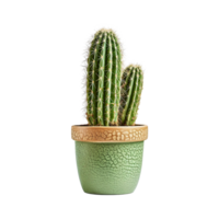 ai gegenereerd cactus geïsoleerd Aan transparant achtergrond png