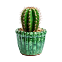 AI generated Cactus isolated on transparent background png