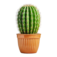 ai generado cactus aislado en transparente antecedentes png