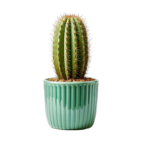 ai generato cactus isolato su trasparente sfondo png