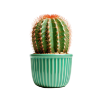 ai gegenereerd cactus geïsoleerd Aan transparant achtergrond png