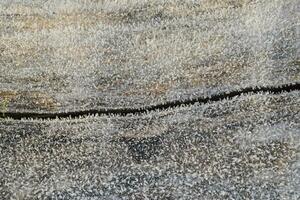 Hoarfrost on tree trunk surface photo