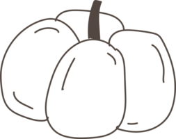 Hand drawn pumpkin illustration on transparent background. png