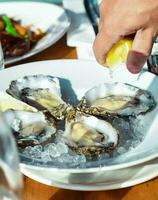 Gourmet dish of Mediterranean oysters photo
