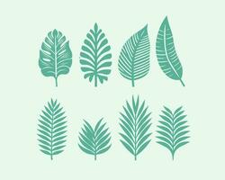 set of tropical leaves vector illustration