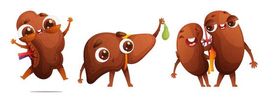 Set of cute characters of human organs in cartoon style. Couple of buds in love hugging each other. Happy jumping spleen. Liver with a funny surprised expression holding a gallbladder in his hand. vector