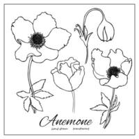 Set of decorative anemones silhouettes. Collection of hand drawn wildflowers for decoration, design, coloring book vector