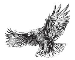 Eagle attacking sketch hand drawn engraving style Vector illustration