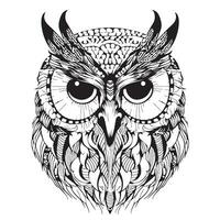 Owl bird face sketch hand drawn in doodle style Vector illustration