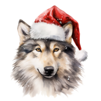 ai generado lobo vistiendo Papa Noel sombrero para Navidad evento. acuarela estilo. ai generado png