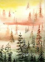 Hand painted watercolor misty forest landscape. Watercolor foggy woods. Watercolor misty pine trees. vector