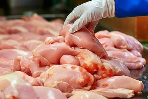AI generated Chicken meat production process from farm to processing AI Generated photo