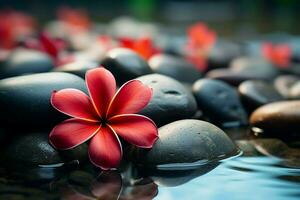 AI generated Red frangipani flower amidst spa stones, creating a tranquil atmosphere photo