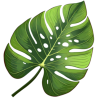 tropisk blad philodendron png