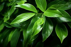 AI generated Ethereal foliage The enchanting sight of green leaves caught in mid flight AI Generated photo