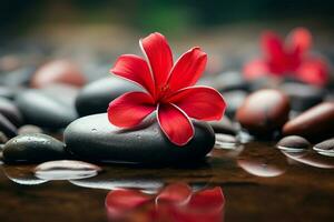 AI generated Red frangipani flower amidst spa stones, creating a tranquil atmosphere photo