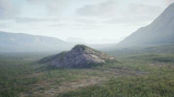 een eenzaam met gras begroeid heuvel in een expansief veld- video