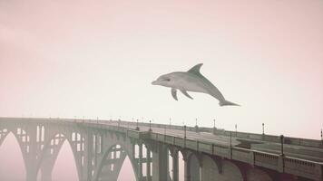 A dolphin is flying over a bridge on a foggy day video