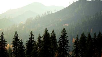 A view of a mountain range with trees in the foreground video