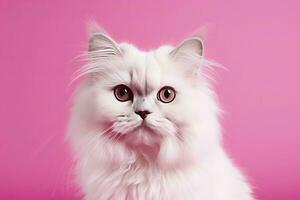 AI generated Cat on Pink Background. AI Generated photo