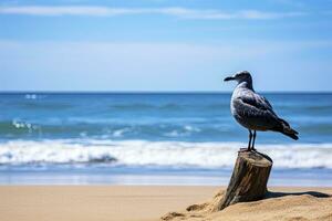 ai generado Gaviota en el playa debajo azul cielo. foto