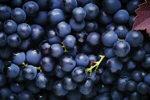 AI generated Flat lay background of vines, lots of organic blue dark grapes. AI Generated photo