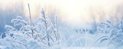 AI generated Frozen snowy grass, winter natural abstract background. beautiful winter landscape. AI Generated photo