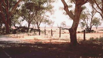 Western Africa highway Road through savanna desert video