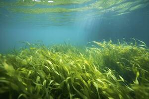 AI generated Underwater view of a group of seabed with green seagrass. AI Generated photo