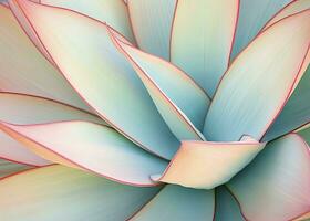 AI generated Agave leaves in trendy pastel colors for design backgrounds. AI Generated photo