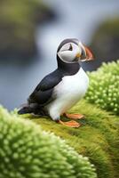 AI generated Puffin bird on a green grass patch. AI Generated photo