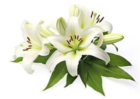 AI generated Beautiful fresh lily flower with green leaves, isolated on white background. AI Generated photo