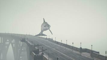 A large white dolphin is flying over a bridge video