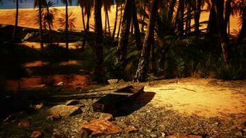 A boat sitting on top of a sandy beach video