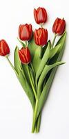 AI generated Red tulips isolated on white background. AI Generated photo