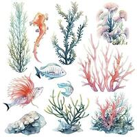 AI generated Underwater Sea element in watercolor on the white background. AI Generated photo