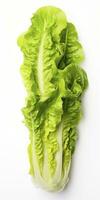 AI generated Lettuce isolated on white background. AI Generated photo