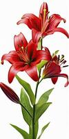 AI generated Red Lilies isolated on white background. AI Generated photo