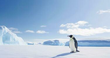 ai generado pingüino en pie en Antártida mirando dentro el azul cielo. ai generado foto