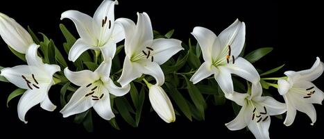 AI generated White lily flowers on black background. AI Generated photo